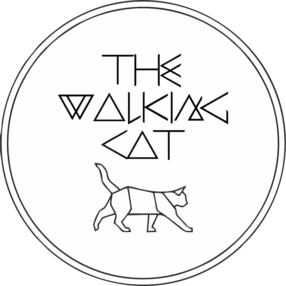THE WALKING CAT